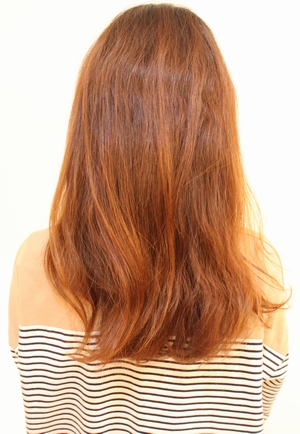 �߃��� ��z �������P �w�A�G�X�e